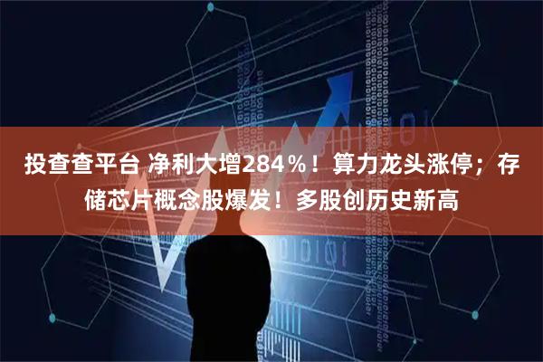 投查查平台 净利大增284％！算力龙头涨停；存储芯片概念股爆发！多股创历史新高
